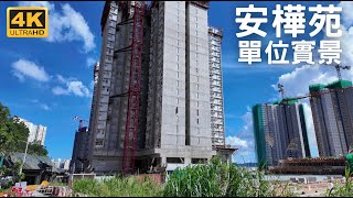 【安達臣道 安樺苑 居屋】 單位實景｜安賢閣 安德閣｜2幢29層990伙｜安禧街2號｜安愉道｜安健道｜安峯｜安秀道｜安楹苑  朗然  安秀苑  安柏苑  東九龍線 [upl. by Zaob308]