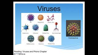 Virus Lecture Part 12 updated [upl. by Stanhope18]