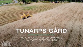 Tunarps Gård i Ydre  Mjöl av gamla kulturspannmål  Lantvete Spelt amp Råg [upl. by Chaves]