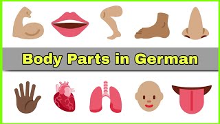 German Vocabulary  die Körperteile  Body Parts  der Körper [upl. by Acirt]