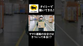 ヤマト運輸の仕分けバイトはきつい！？タイミーで働いてみた！ ヤマト運輸 仕分け タイミー [upl. by Malvino]