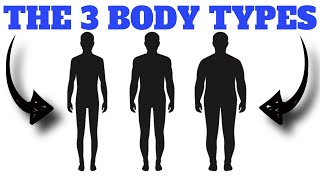 The 3 Body Types Explained QUICK and EASY [upl. by Eenolem70]