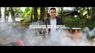 Guacayamos Son Tropical  Dos cervezas Video lyrik 2021 [upl. by Aihsercal54]