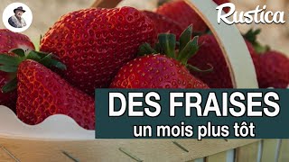 Des fraises en avril [upl. by Grindle754]