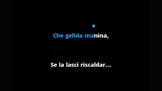 Puccini Che Gelida Manina La Boheme  Karaoke with Lyrics for Tenor  Instrumental [upl. by Adiari]