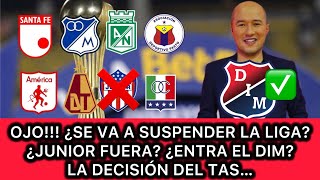 OJO BERMÚDEZ LO ACLARA TODO ¿JUNIOR ELIMINADO  ¿ENTRA EL DIM ¿SE SUSPENDE LA LIGA [upl. by Lundquist]