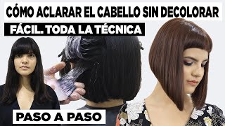 PINTA EL CABELLO SIN DECOLORAR FÁCIL TODA LA TÉCNICA PASO A PASO [upl. by Zendah]