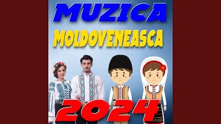 Hituri de Petrecere 2024 Moldovenesti [upl. by Anib934]