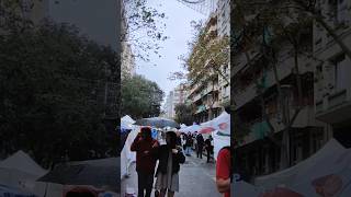 Barcelona festival Spain visitbarcelona barcelona shorts [upl. by Ledda]