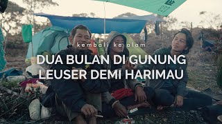 Dua Puluh Kali Bolakbalik Gunung Leuser Pernah Jumpa Harimau [upl. by Aissatsan]