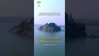 Vikramshila Gangetic Dolphin Sanctuary Bhagalpur  Bihar Tourism [upl. by Bartley]