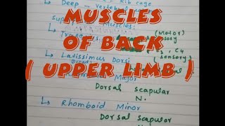 Muscles of upper limb Back Region  nerve supply [upl. by Maryrose510]