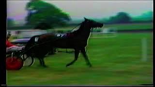 Llangammarch Trotting Races Held at Beulah 1989 UK Harness Racing Welsh Trotting [upl. by Pampuch]