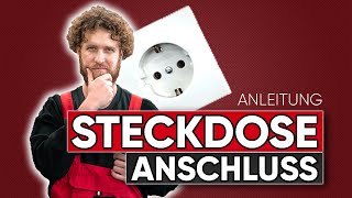 STECKDOSE anschließen und richtig verkabeln Anleitung [upl. by Ahseret]