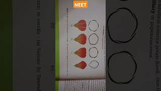 MORPHOLOGY OF FLOWERING PLANTS aestivation types corollaValvateTwisted ImbricateVexil neet [upl. by Aremus606]