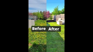 three important steps to installing sod [upl. by Mildrid760]