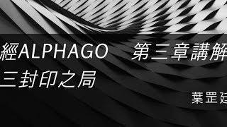 ＜圍棋聖經＞ AlphaGO vs AlphaGO 圍棋聖經第三章 破解三三封印之局 [upl. by Standing]