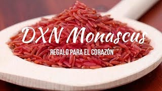 Beneficios de DXN Monascus para triglicéridos y colesterol elevados HD [upl. by Eimmelc]