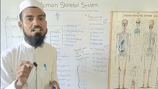 Human Skeletal SystemNames of BonesHow to memorizeExplain by shakir waheed [upl. by Evanne]