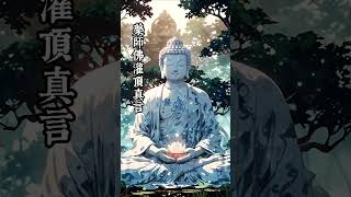 藥師佛灌頂真言 藥師佛 灌頂真言 心咒 佛經 佛法 平安 健康 冥想 平靜 Relax Music meditation buddhameditationmusic [upl. by Burger]