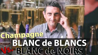 Blanc de Blancs Vs Blanc de Noirs Champagne Where’s the Difference [upl. by Nealah]