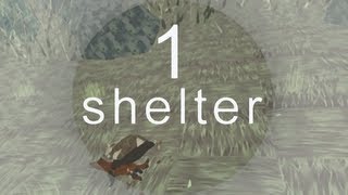 Shelter First Look  Preview Gameplay  Part 1 [upl. by Cilo]