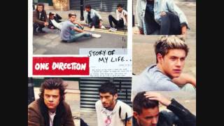 One Direction  Story Of My Life 432hz [upl. by Wylen]