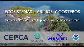 Ecosistemas Marinos y Costeros de Puerto Rico [upl. by Gant]