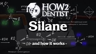 How silane works  How to Dentist [upl. by Gaal370]