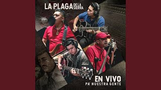 Gente De Zambada En Vivo [upl. by Kelwin]