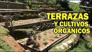 TERRAZAS PARA CULTIVOS ORGÁNICOS [upl. by Colan]