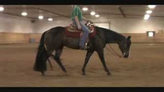 SOLD  All Around AQHA Gelding [upl. by Eldwin]