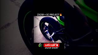 ZX25R  SC PROJECT 🔥 akangmv zx25r paroponauli zx25rr zx4r zx4rr shorts short scproject fy [upl. by Nairdad123]