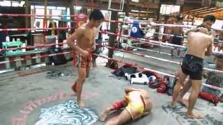 Clinching session  13 Coins Gym Saenchai Pakorn Sangmanee Kongja and others [upl. by Nalyd]