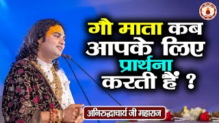 गौ माता कब आपके लिए प्रार्थना करती है  Aniruddhacharya Ji Maharaj  Sanatan Vachan  Pravachan [upl. by Toma760]