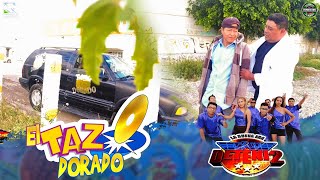 TAZO DORADO GRUPO DETENIDO2 VIDEO OFICIAL [upl. by Jase]