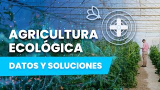 Agricultura ECOLÓGICA bajo invernadero en España 🇪🇸 [upl. by Otokam518]