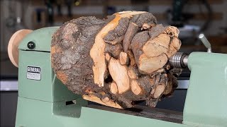 Stunning Tree Root Woodturning Creation [upl. by Itsrik]