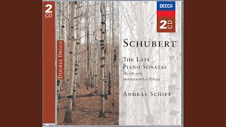 Schubert Piano Sonata No 21 in B flat D960 1 Molto moderato [upl. by Shriner966]