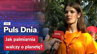 Palmiarnia walczy o planetę Jak [upl. by Amalea]