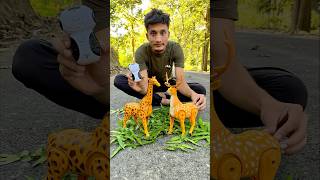 Rc Remote Control Two Giraffe 🦒 vs Deer ki testing 😜 [upl. by Raddie]