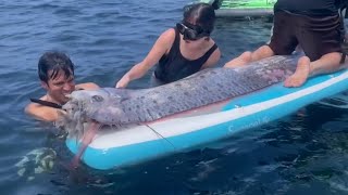 Rare deepsea oarfish discovered off California coast  VOA News [upl. by Tlok]