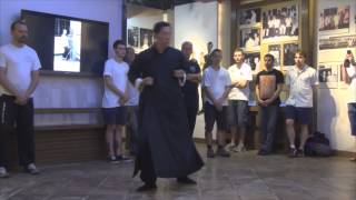 45  Grandmaster Samuel Kwok performs Biu Gee Biu Tse at Ip Man Tong [upl. by Daryl]