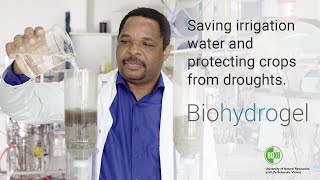 Biohydrogel  Saving irrigation water and protecting crops from droughts [upl. by Lance435]