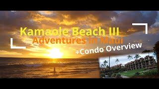 Save Your  amp Stay in Kihei  KAMAOLE BEACH III  Condo Overview  Adventures in Maui [upl. by Anuaf303]