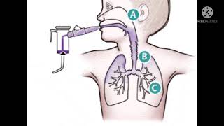 How to Use Nebulizer machine [upl. by Noir616]