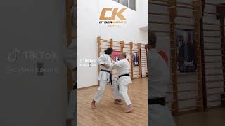 TEKKI SHODAN BUNKAI PILL  KARATE SHOTOKAN shorts [upl. by Dryfoos]