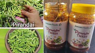 Spicy pirandai thokku or hadjod pickle uses [upl. by Oremoh]