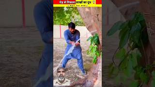 दूध देने वाला पेड़ 🤯 Wood working with arthandcraft ideashome realtalentskillsart shorts viral [upl. by Finnigan]