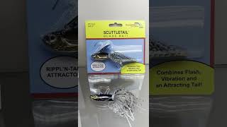 Best Fishing Lures fishing bassfishing fishingvideo [upl. by Anahsed]